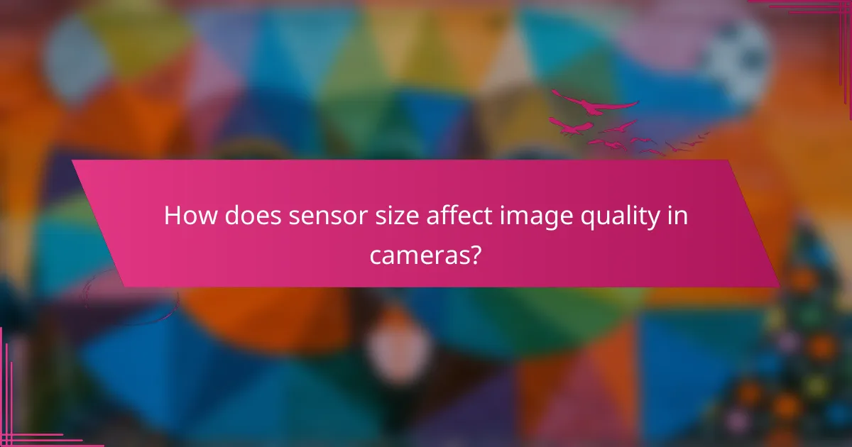 How does sensor size affect image quality in cameras?