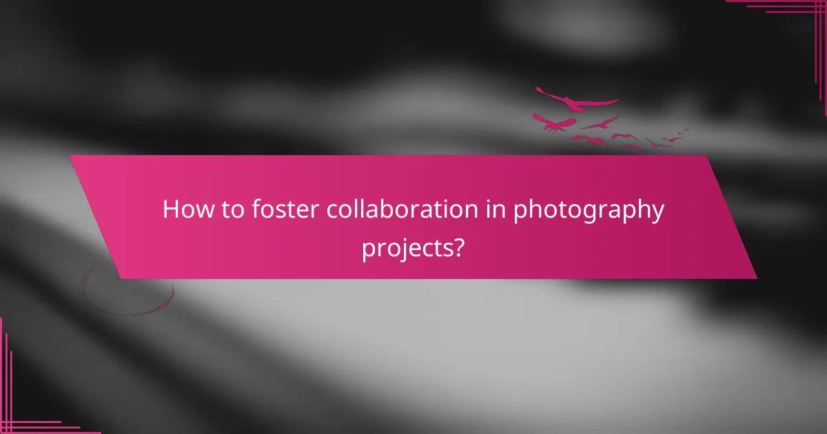 How to foster collaboration in photography projects?