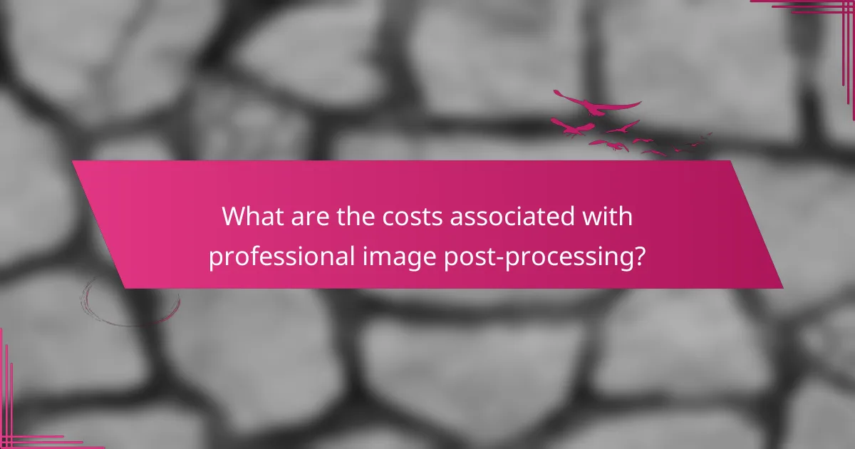 What are the costs associated with professional image post-processing?
